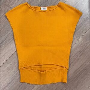 Aritzia Wilfred tank top